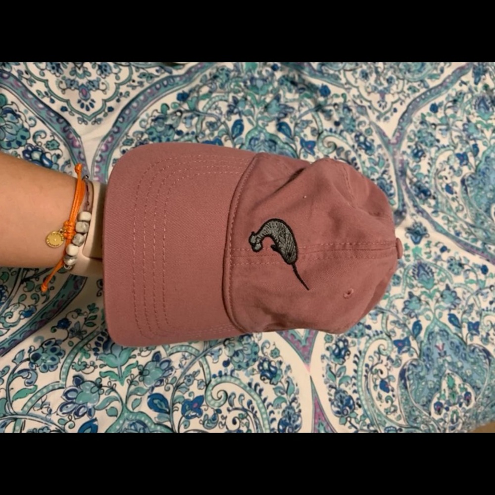Baseball Hat